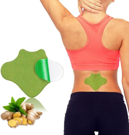 Herbal Back Pain Relief Patch – Long Lasting Heating Patch ( 20 PCS )