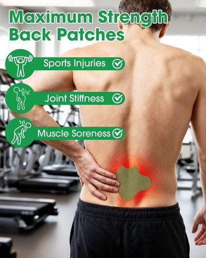 Herbal Back Pain Relief Patch – Long Lasting Heating Patch ( 20 PCS )
