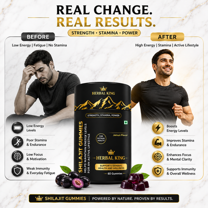 HERBAL KING Shilajit Gummies for Men & Women | 60 Gummies